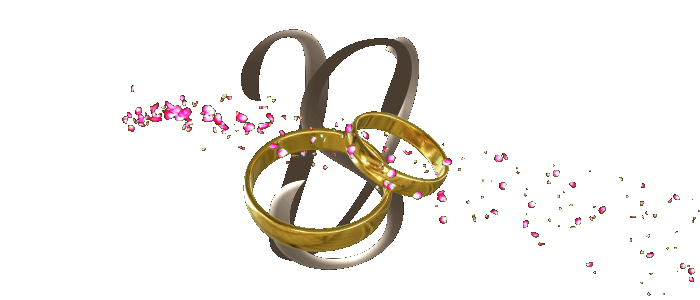 Vasundara and Sridhar logo